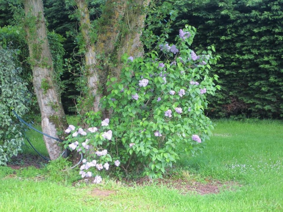 Les Mobile home de KERROYAL Campground/ 
RV Resort in Finistere