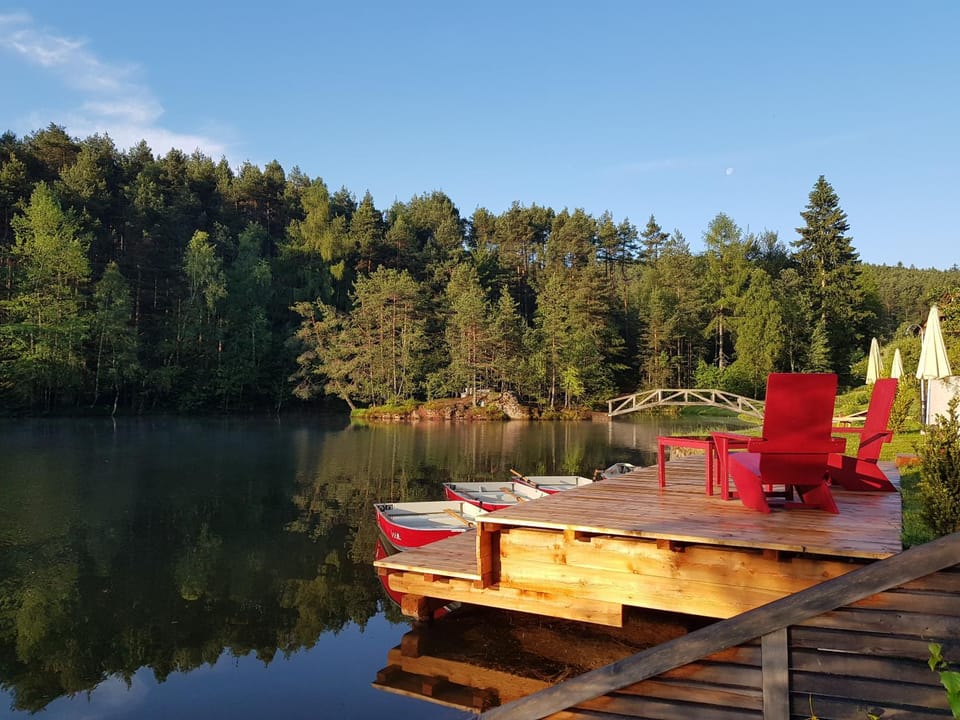 Lake view