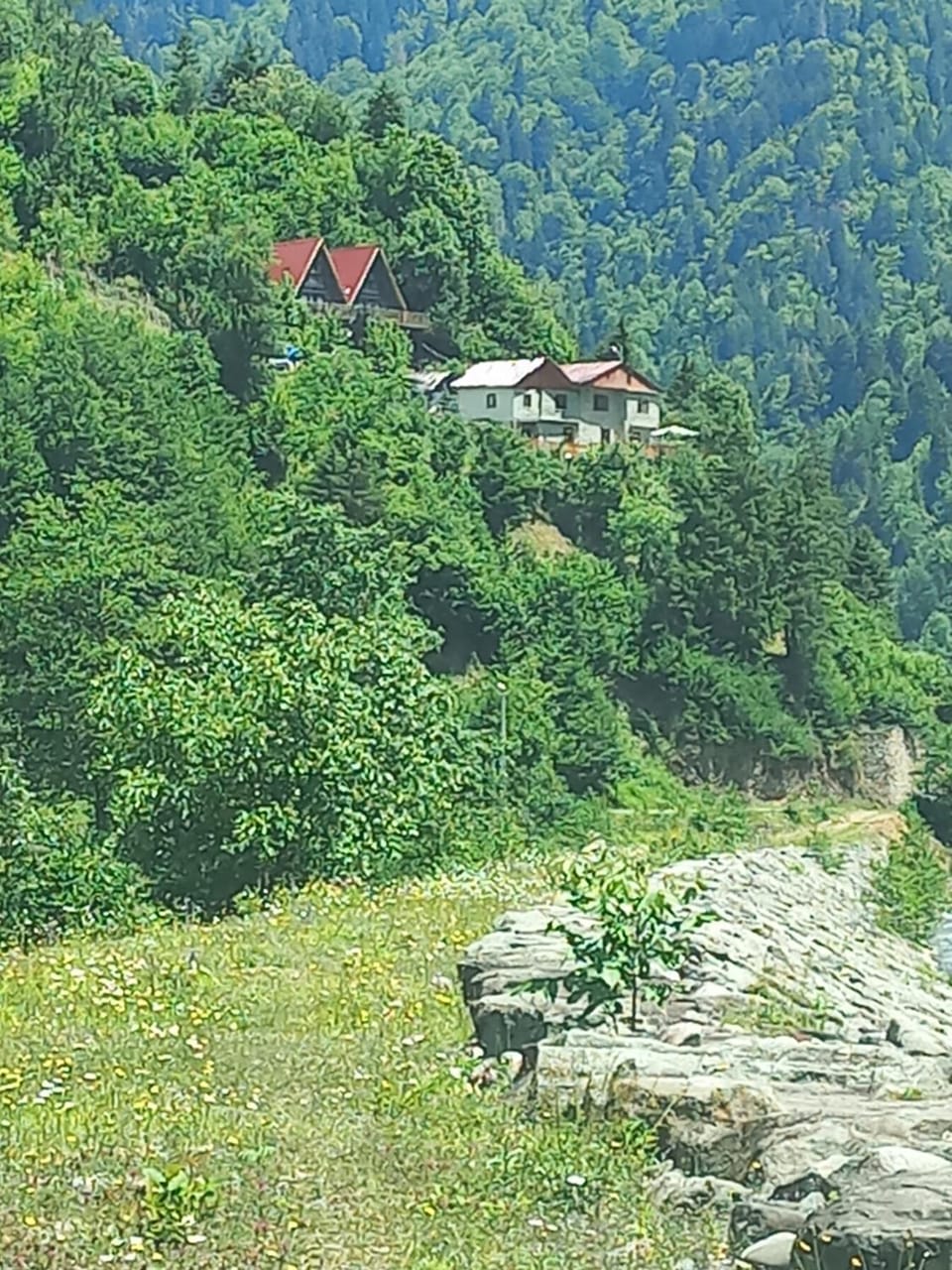 City view, Garden view, Quiet street view