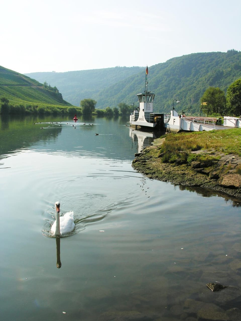 Natural landscape
