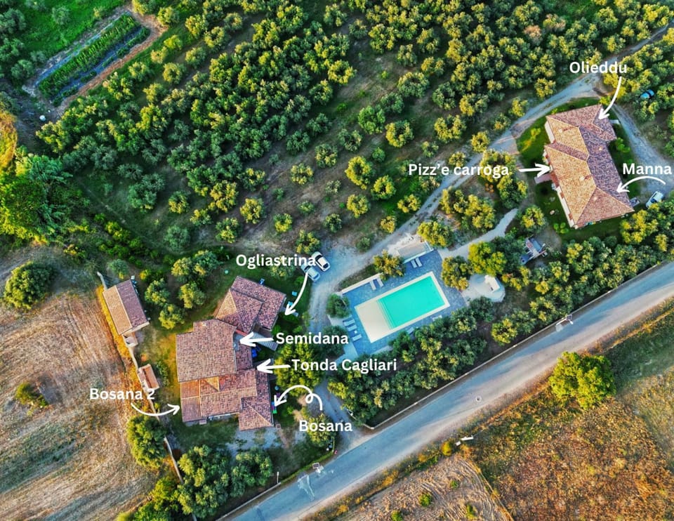 Armandiola Apartment in Sardinia