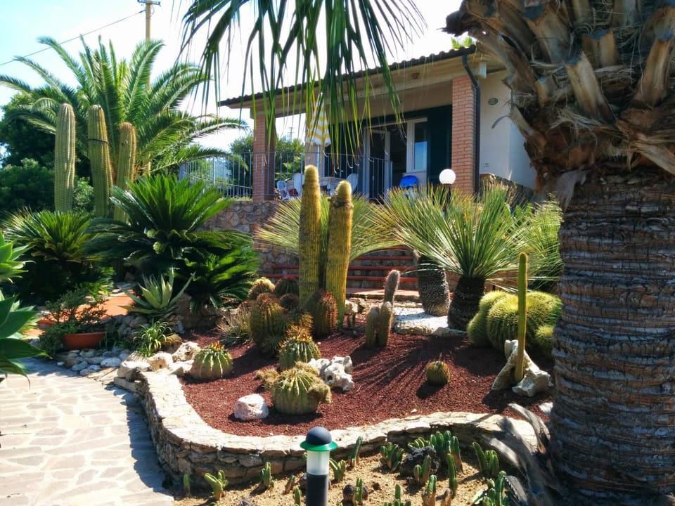 Garden, Garden view