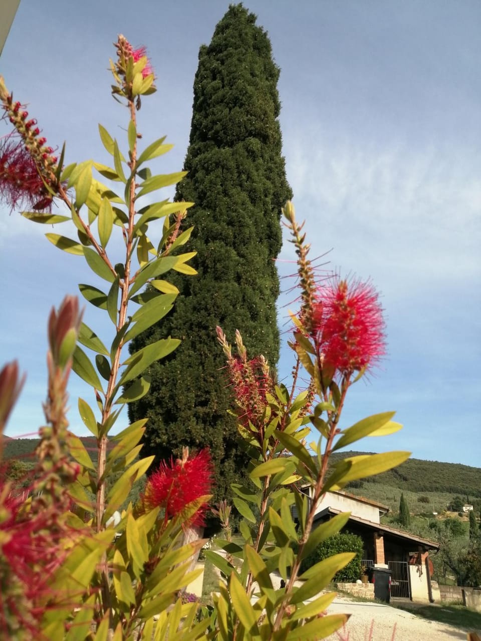 Borgo Buciardella Farm Stay in Umbria