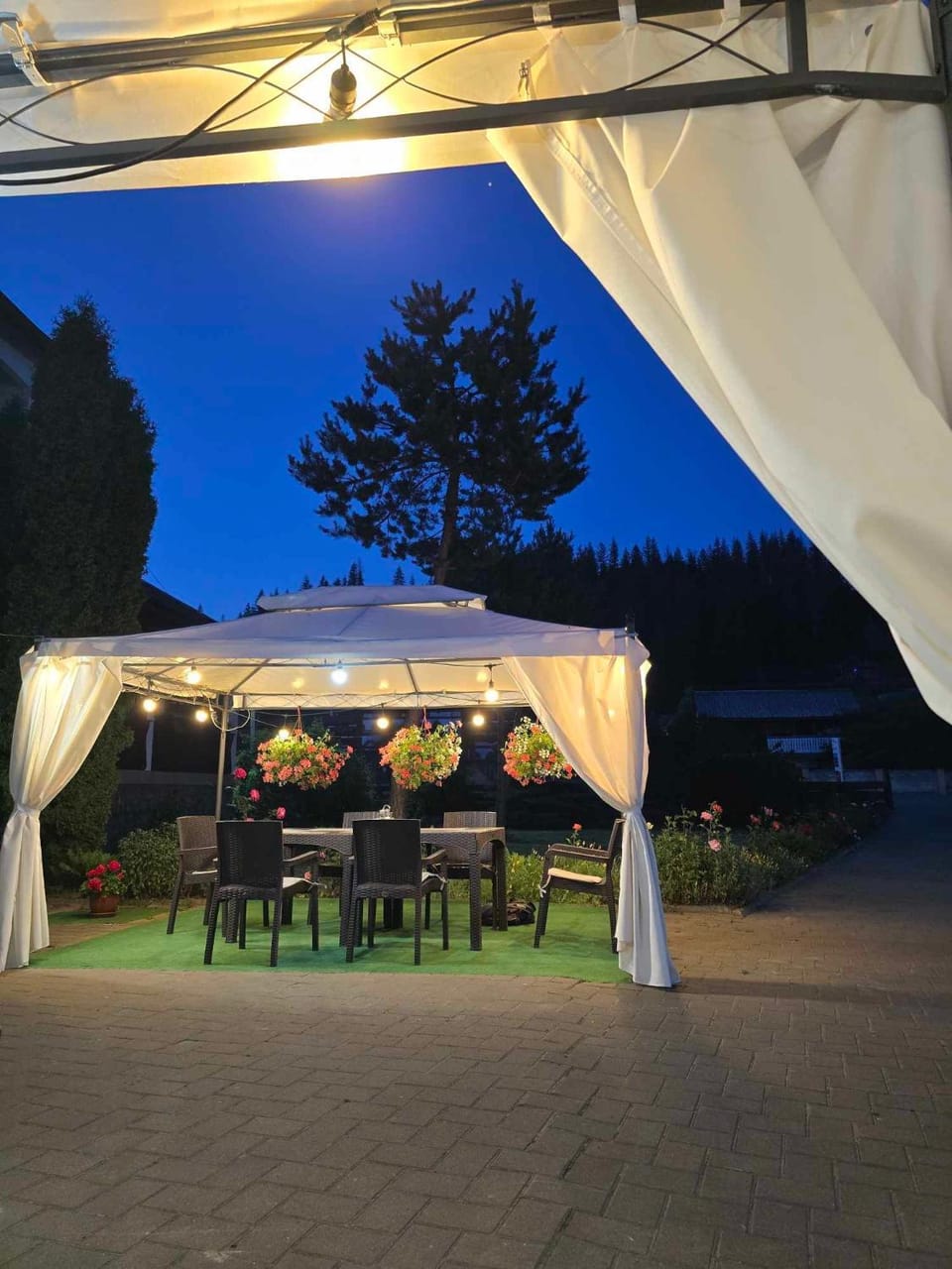 Pension Elegance Bed and Breakfast in Romania