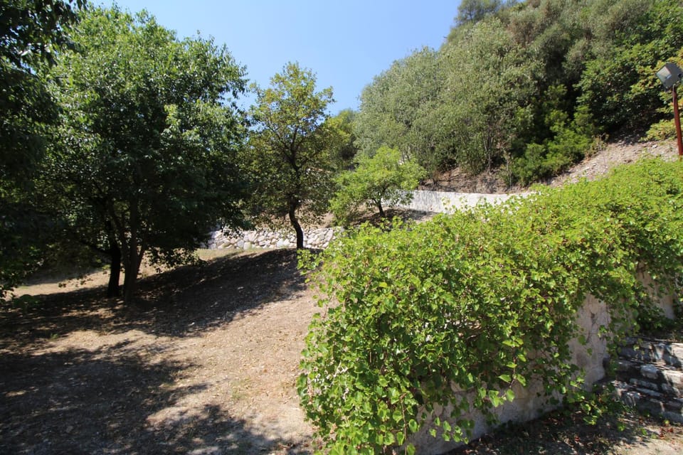 Natural landscape