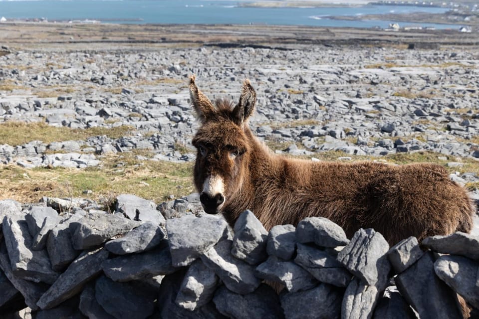Aran Islands Hotel Hotel in County Clare
