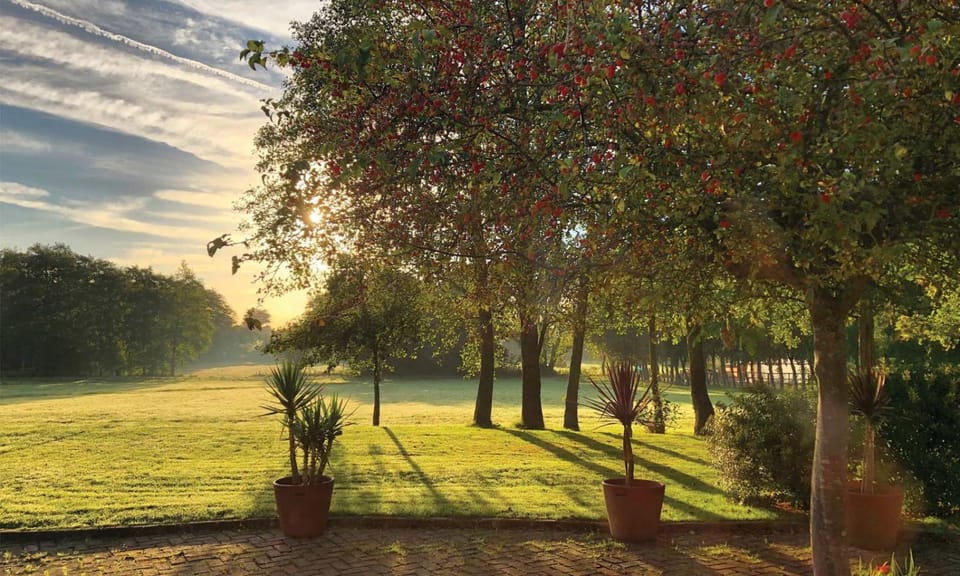 Garden, Sunrise