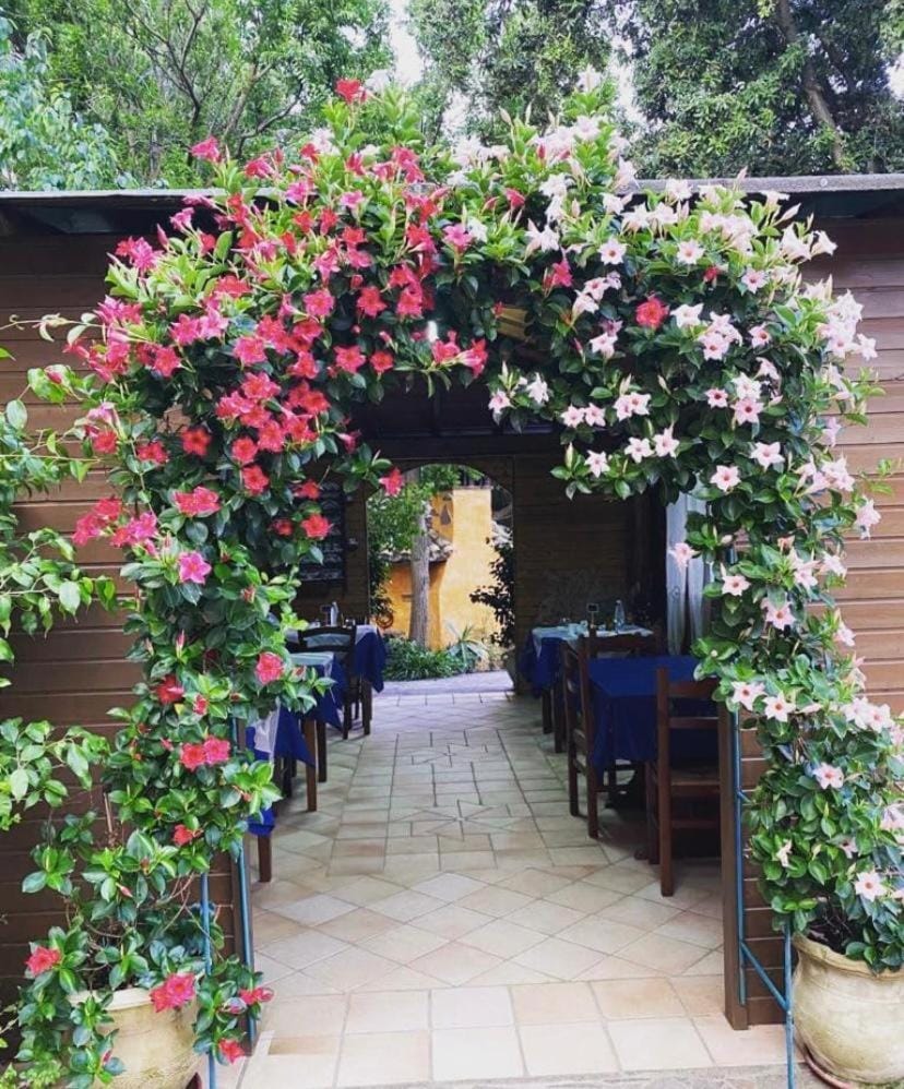 Day, Garden, Breakfast