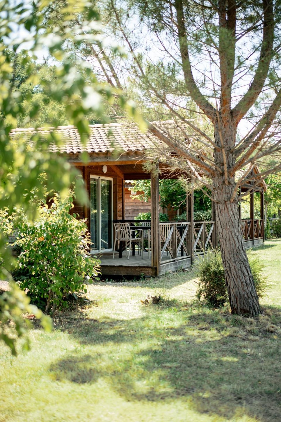 Spring, Day, Natural landscape, Garden, Garden view