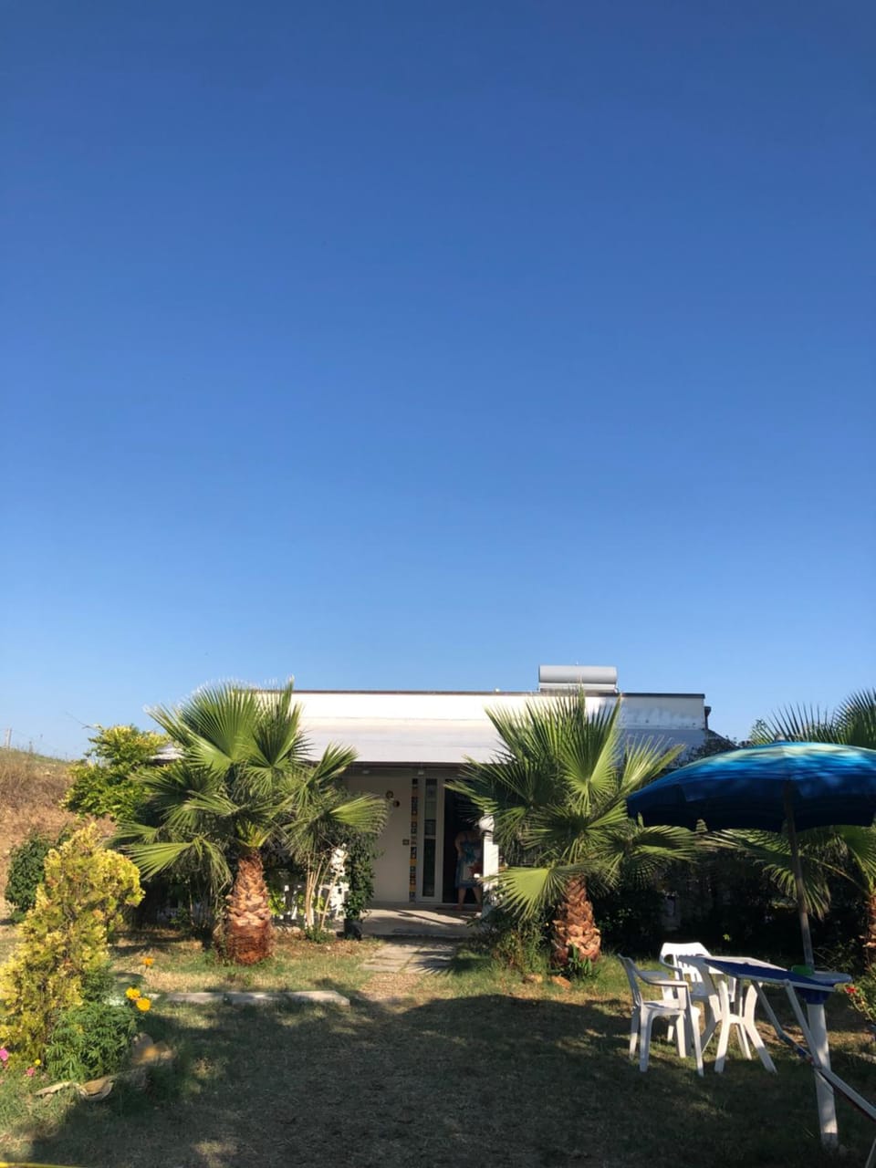 Property building, Garden
