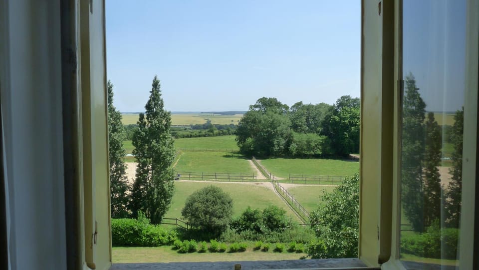 Garden, View (from property/room)
