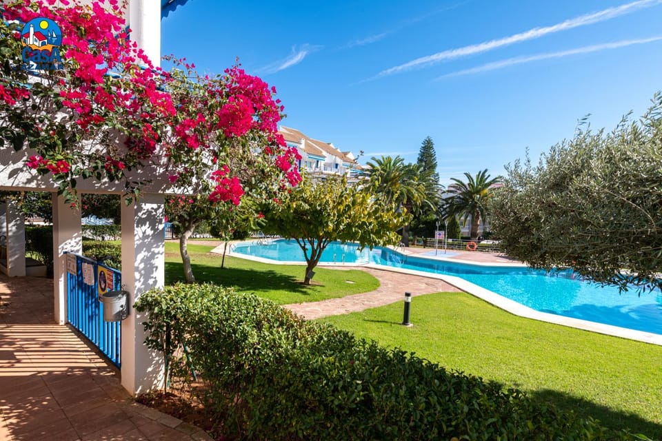 Garden, Swimming pool