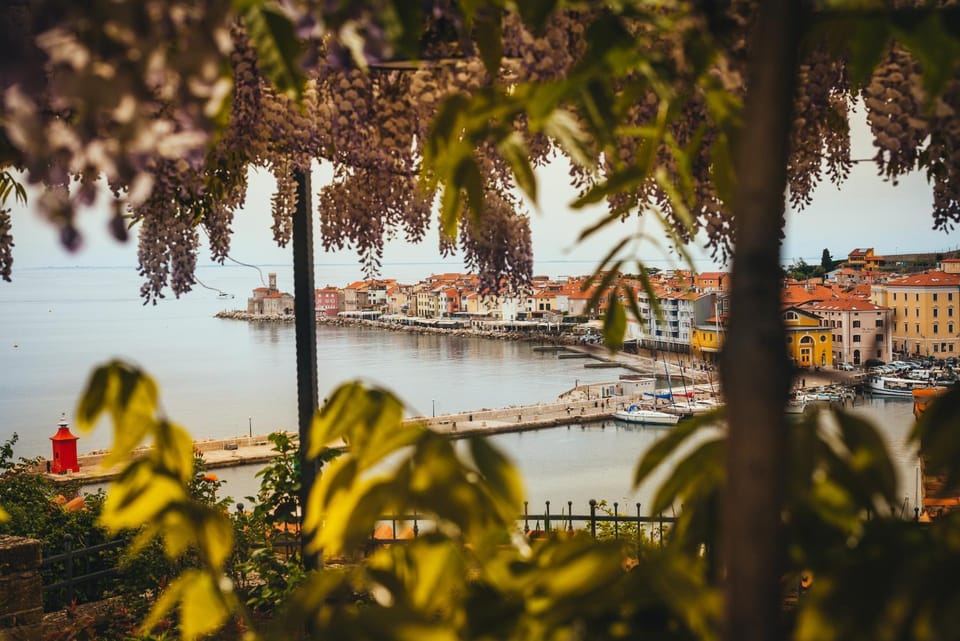 Apartment Bruna Apartment in Piran