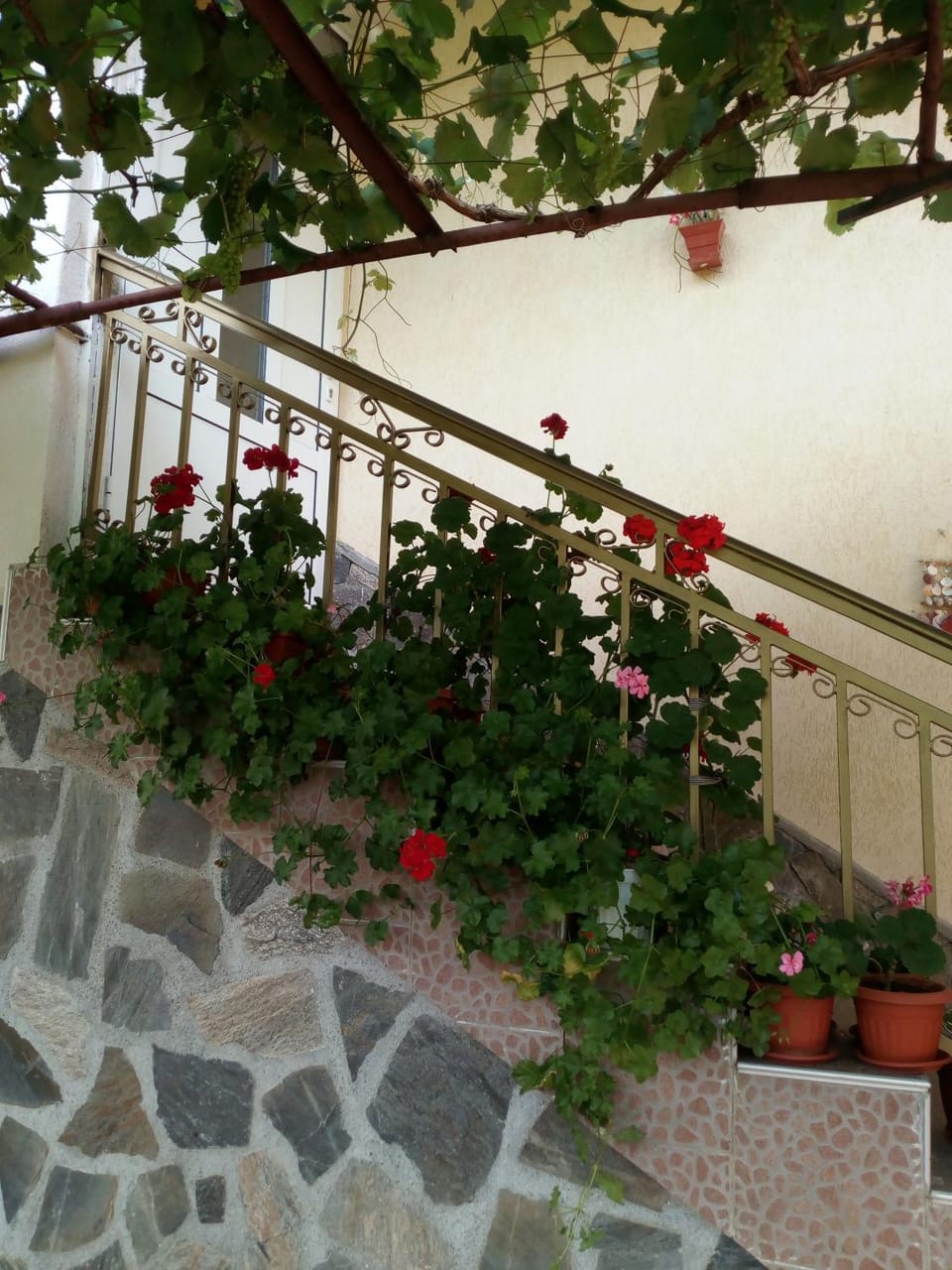 Viktoria House Bed and Breakfast in North Macedonia