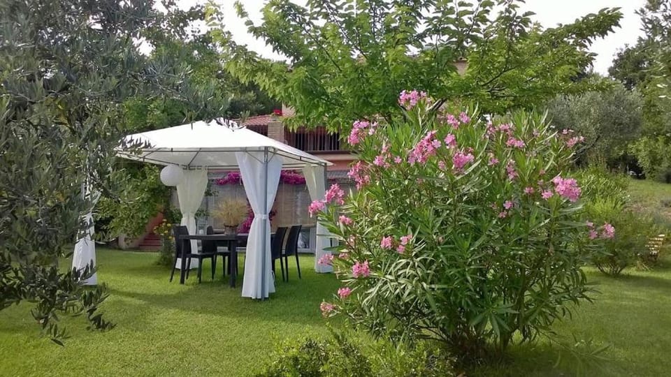 Patio, Garden