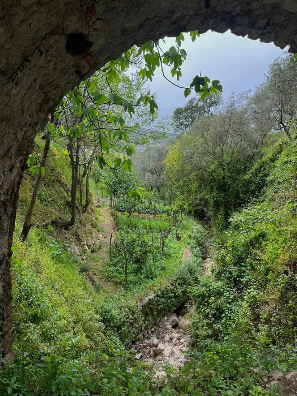 Garden, Garden view, Time of day