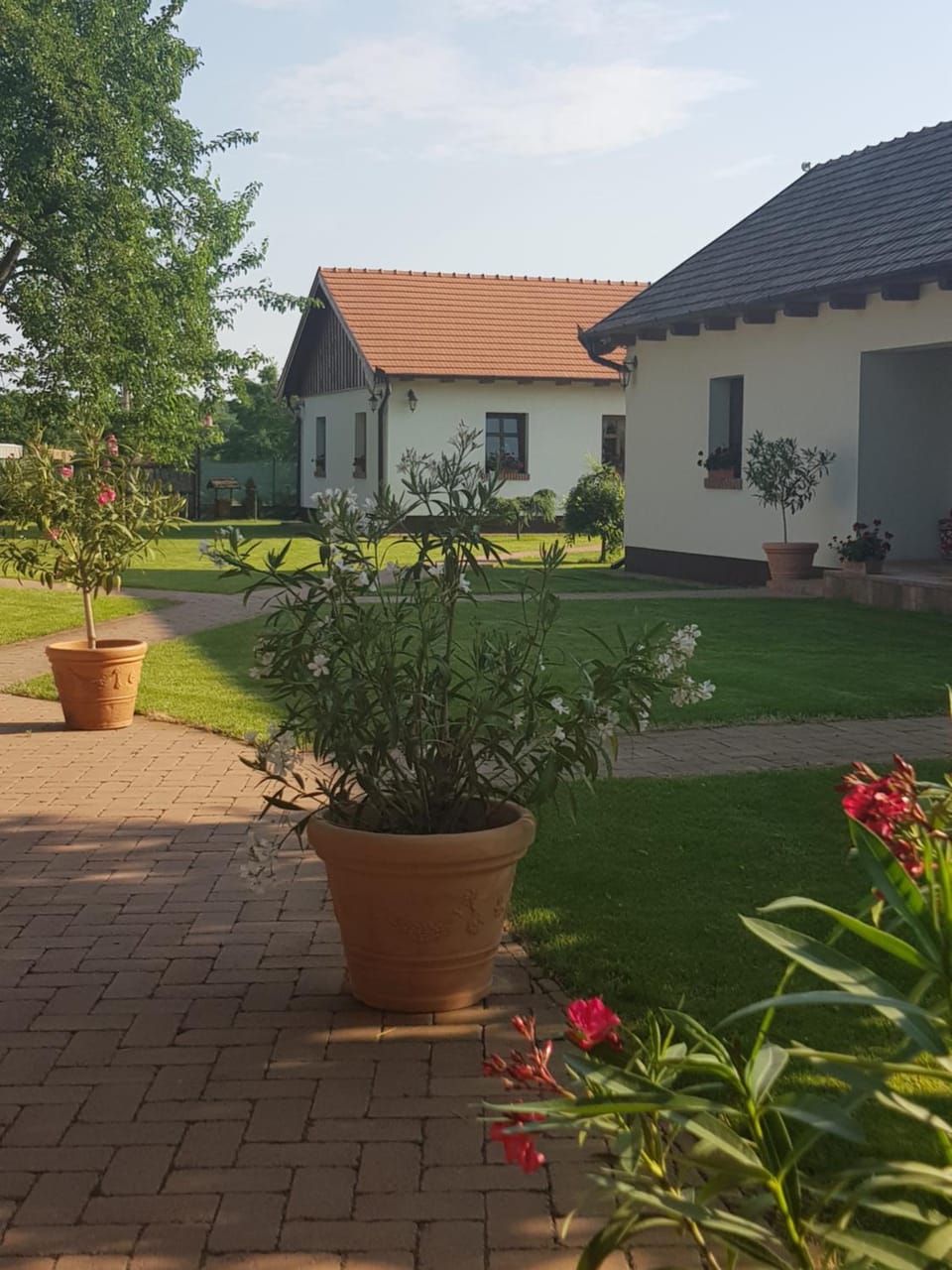 Tóth Vendégház és Apartmanház Újfehértó Bed and Breakfast in Slovakia