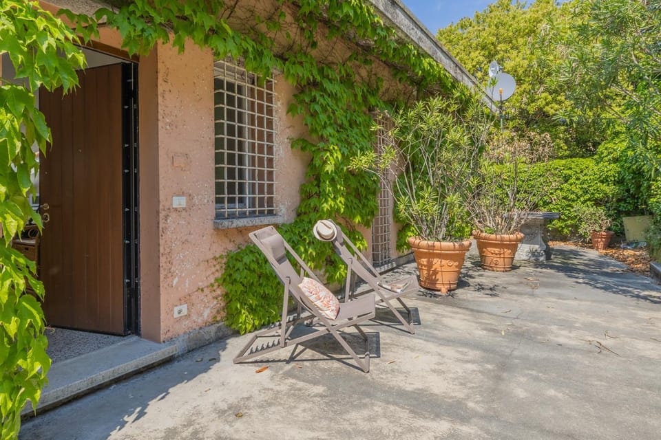 Patio, Garden, Garden view