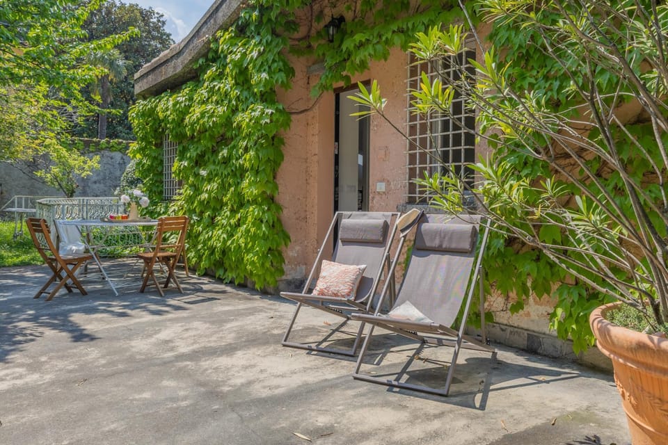 Patio, Garden, Garden view