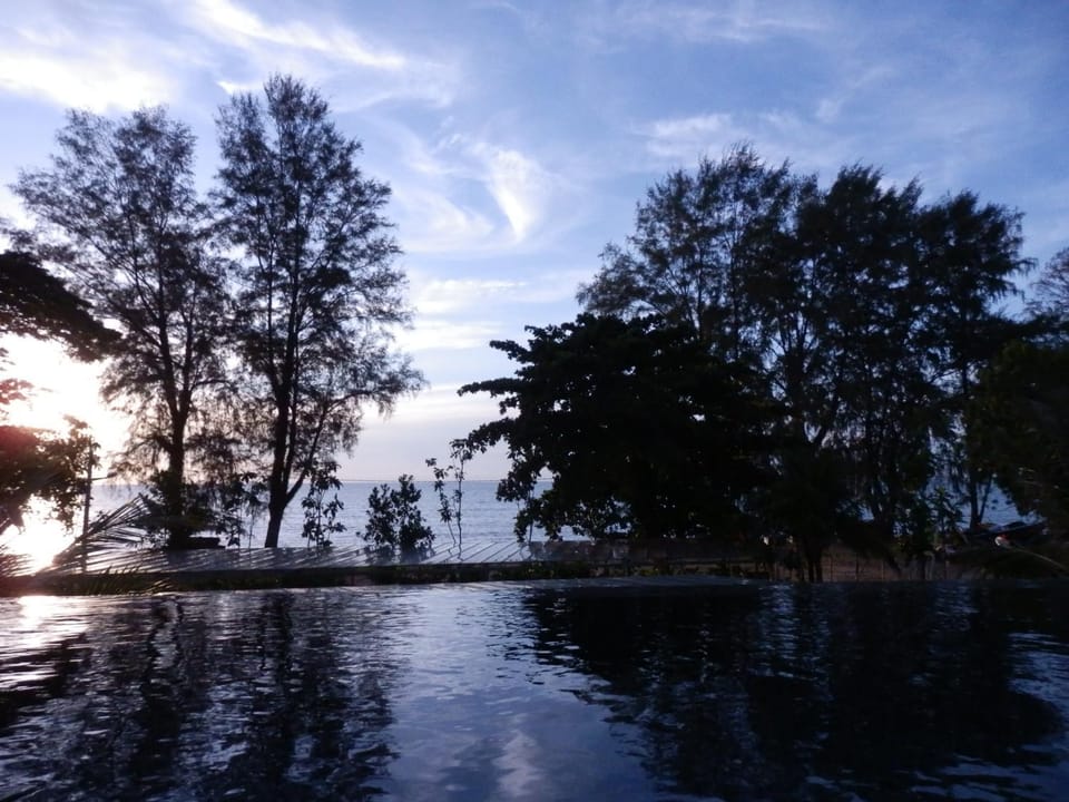 Swimming pool, Swimming pool