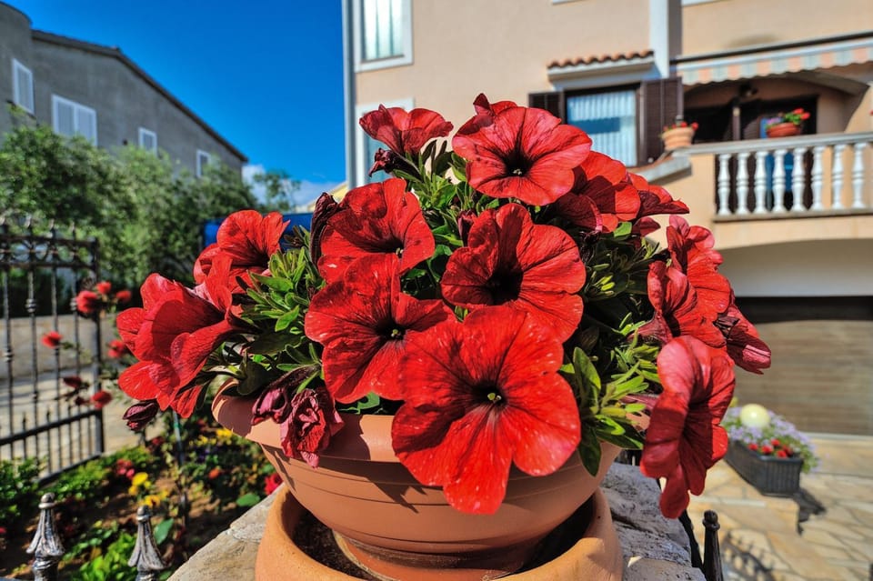 View (from property/room)