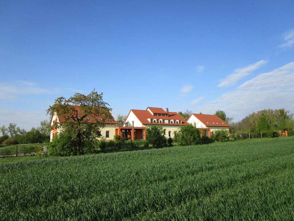 Property building, Neighbourhood, Garden