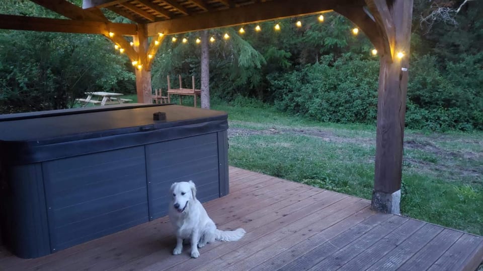 Hot Tub, Pets