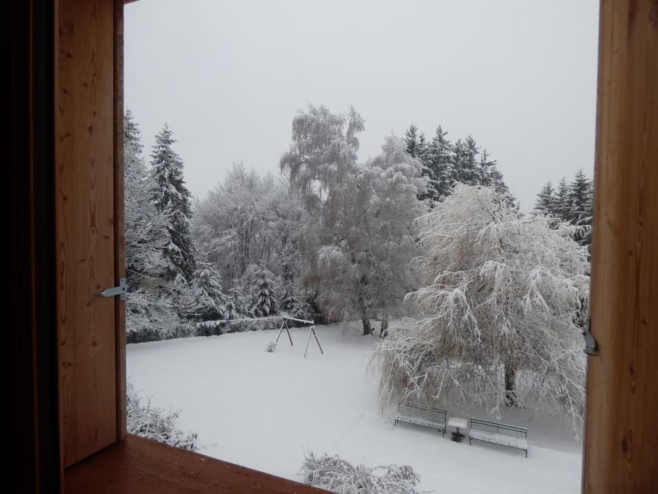 Natural landscape, Winter, Garden view, Mountain view