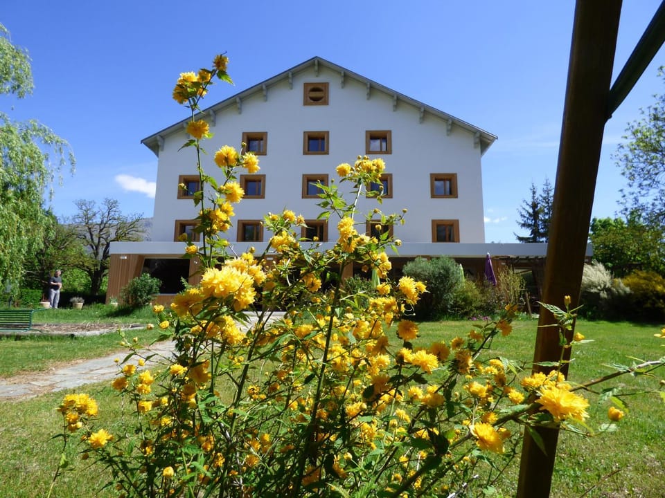 Property building, Restaurant/places to eat, Spring, Garden