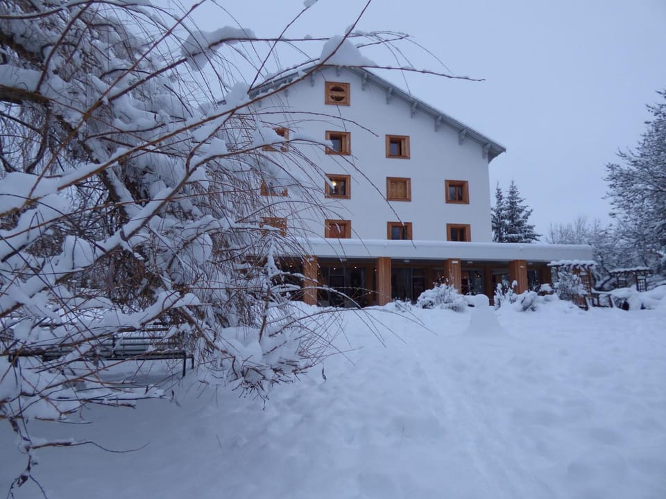 Property building, Natural landscape, Winter
