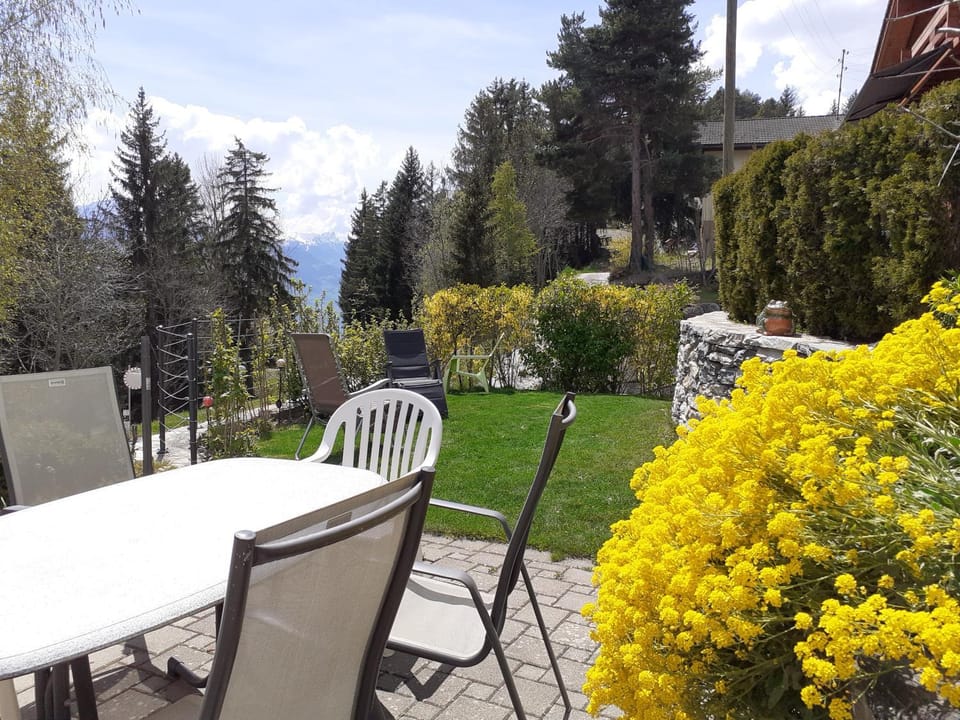 Patio, Garden