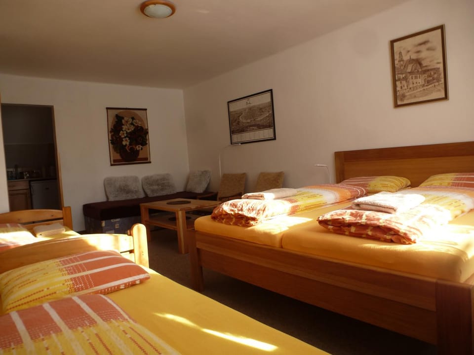 Ubytování Lyžařská škola Bed and Breakfast in South Bohemian Region