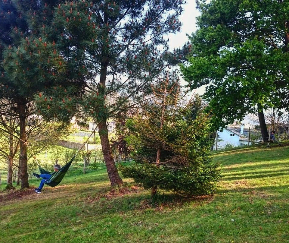 Casa Carballeira Apartment in Asturias