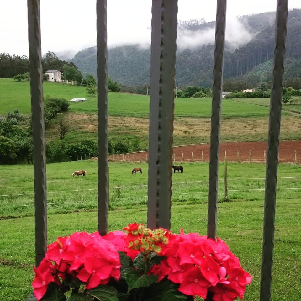 View (from property/room)