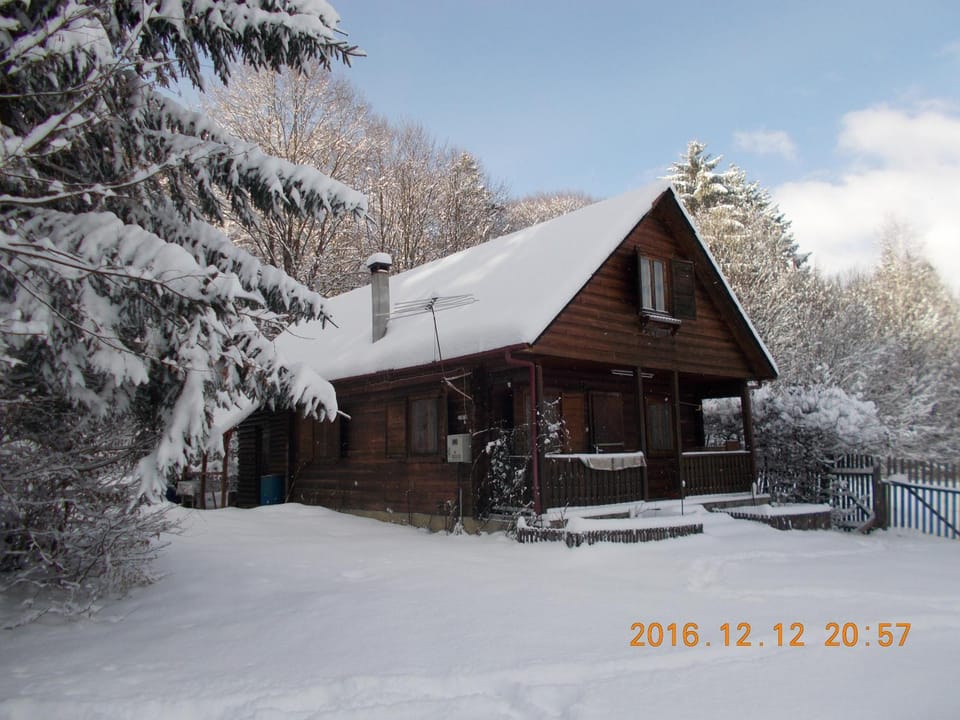 Winter