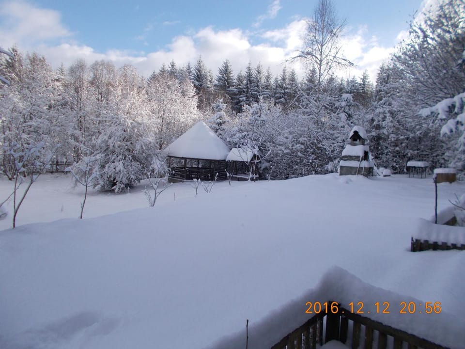 Winter