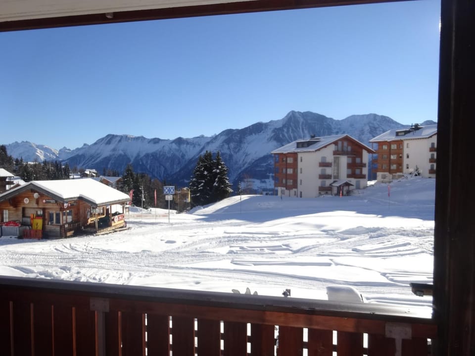 Winter, Garden view, Landmark view, Mountain view