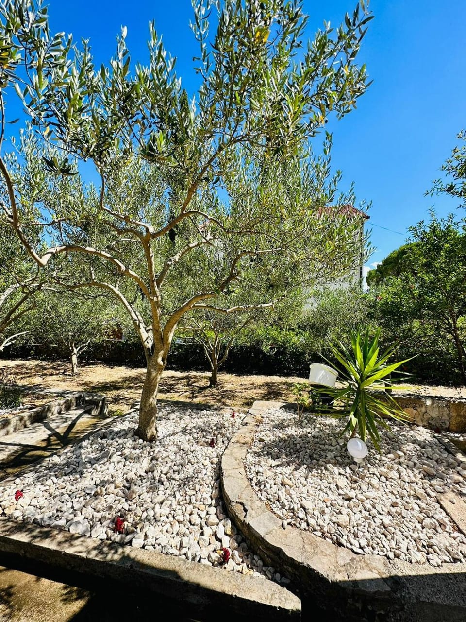 Beach house Bol House in Bol