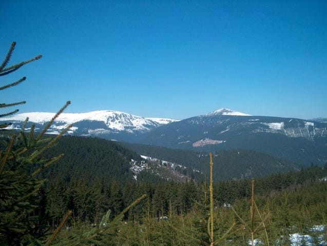 Hiking