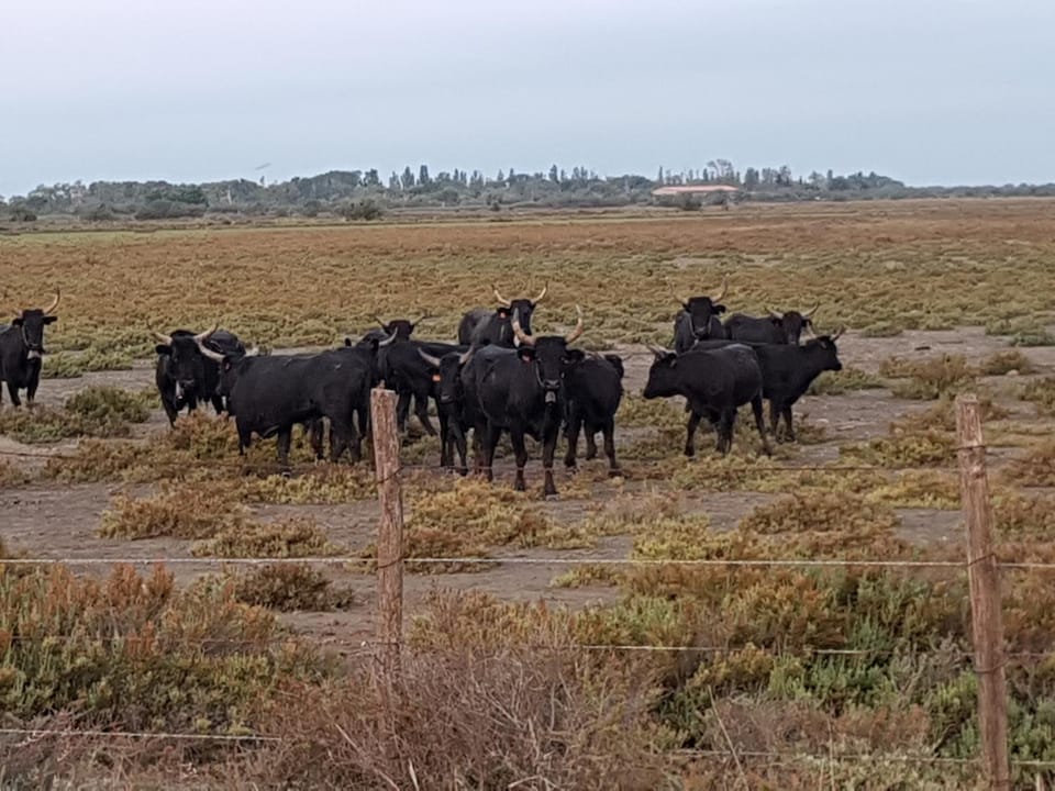 Longo Mai Hotel in Arles
