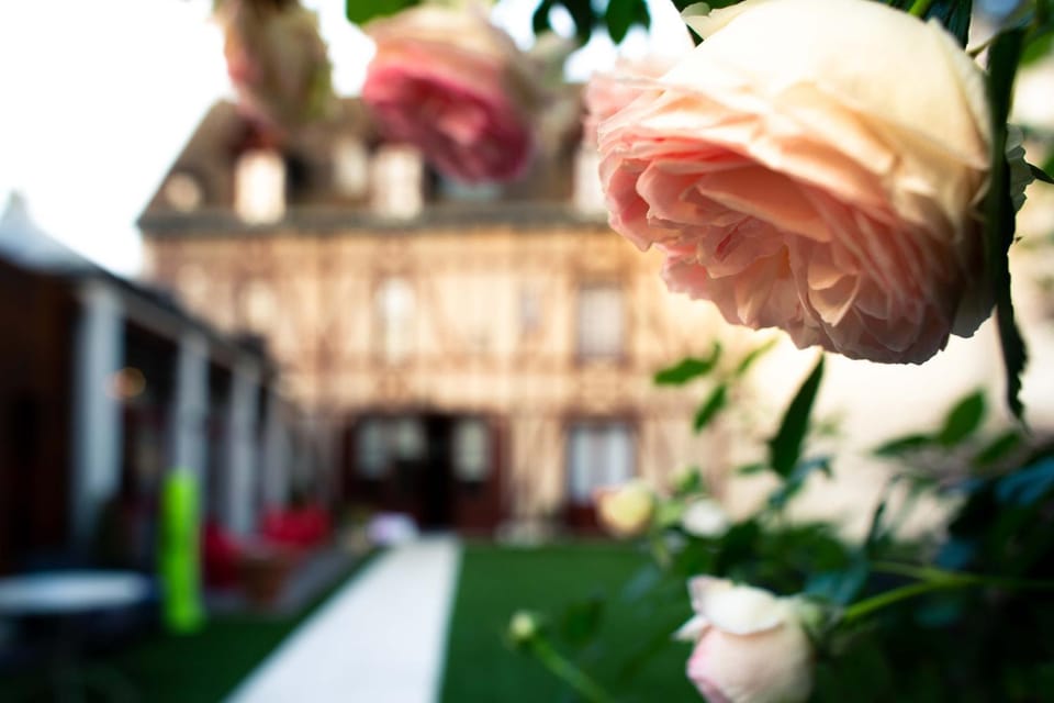 Spring, Day, Garden