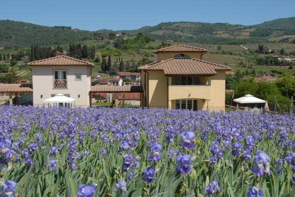 City view, Garden view, Landmark view