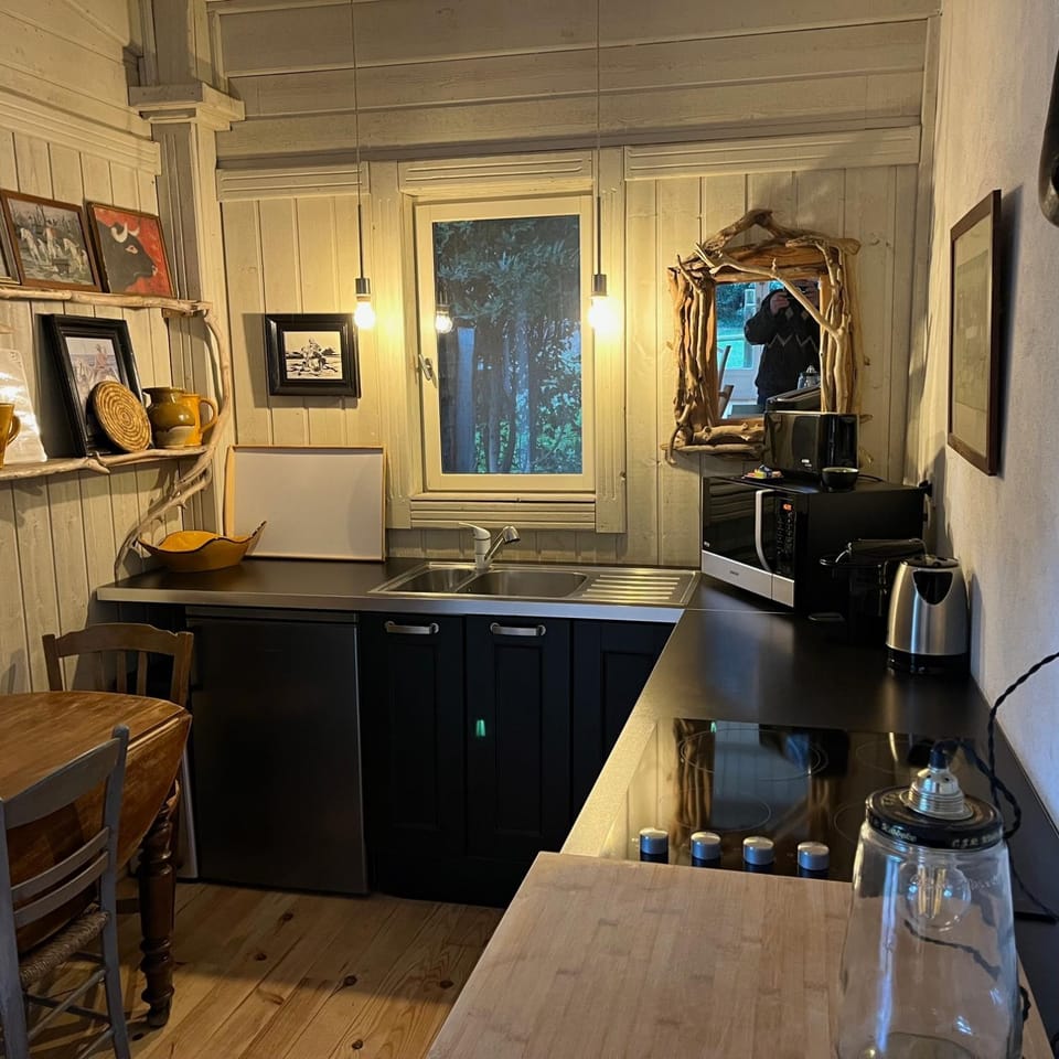 Cabane de la leque House in Fontvieille