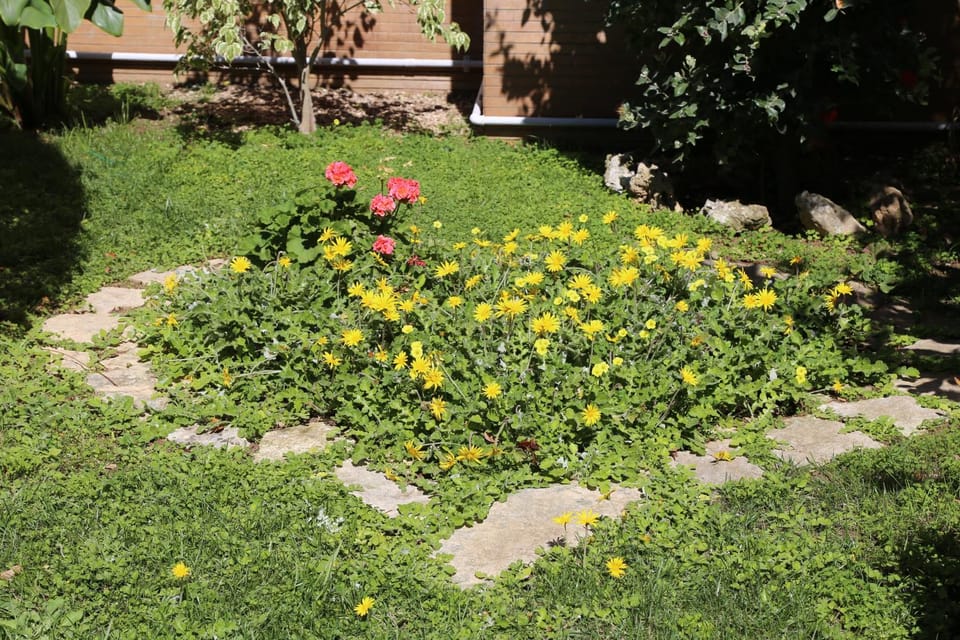 Virò House Bed and Breakfast in Apulia