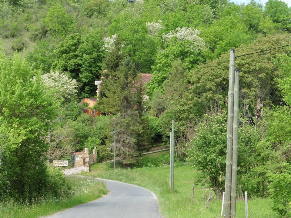Natural landscape