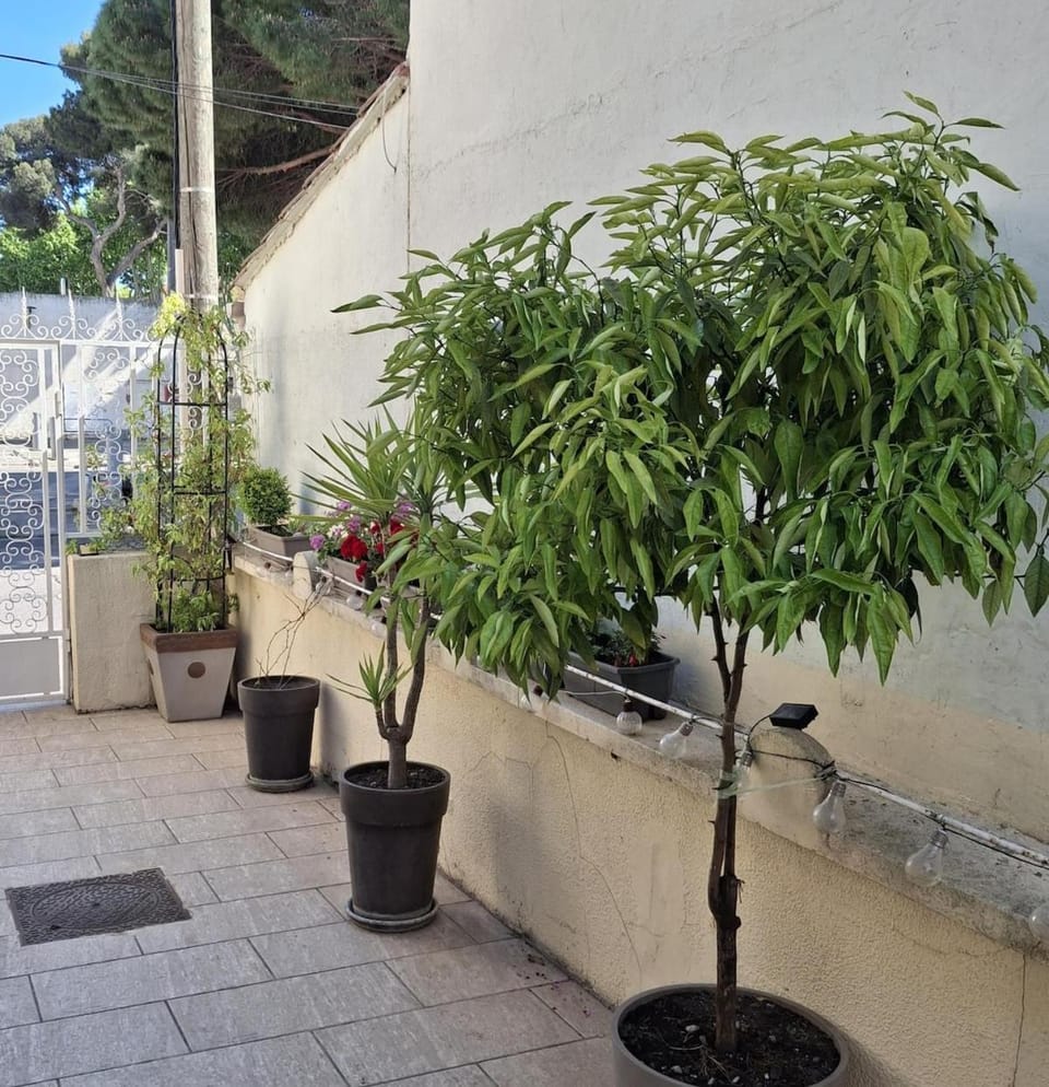 Mistral Appartements Apartment in Arles