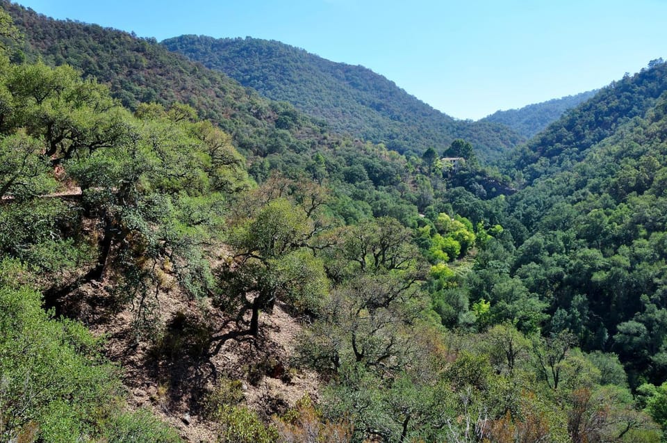 Nearby landmark, Natural landscape