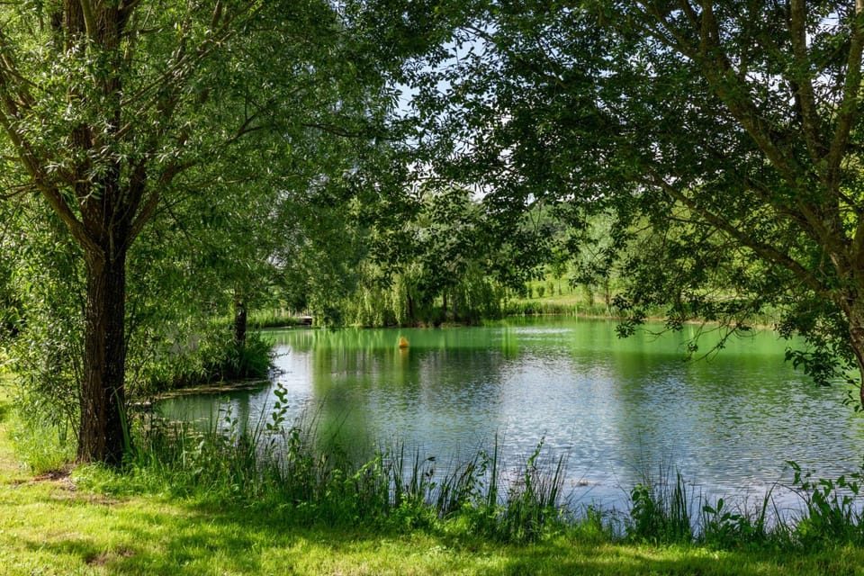 Garden, Garden view