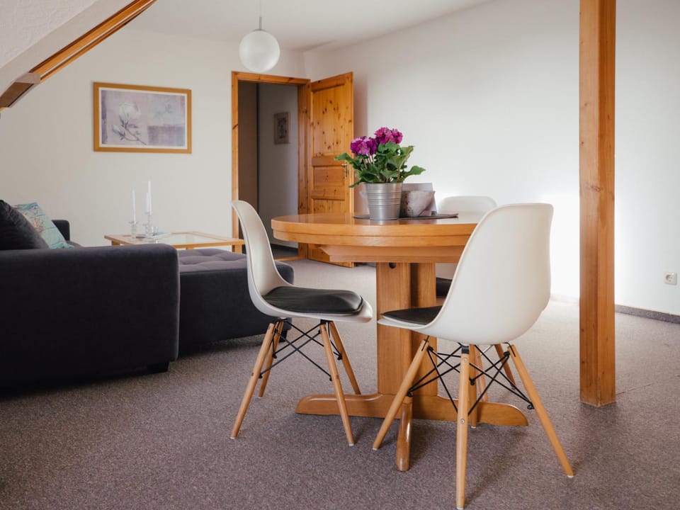 Living room, Dining area, Food, Lunch, Dinner