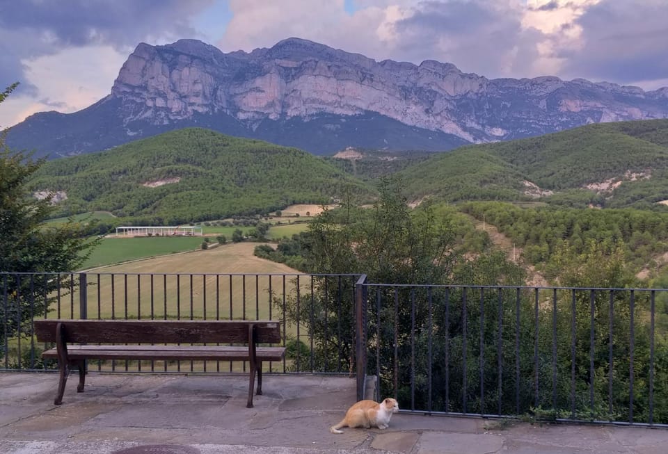 Natural landscape, Street view